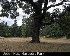 Upper Hut, Harcourt Park